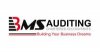 BMS Auditing