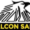 falconsafe.com.my